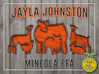 JaylaJ