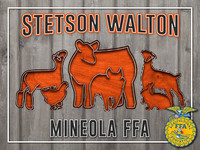 StetsonW