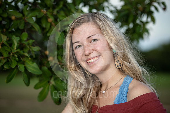CNP_4322