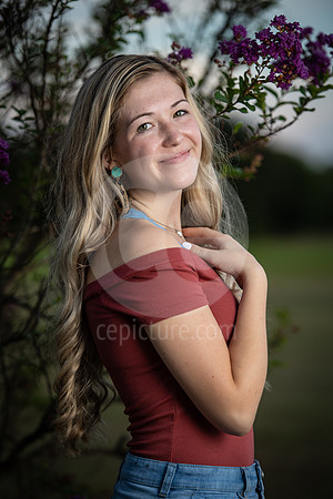 CNP_4334