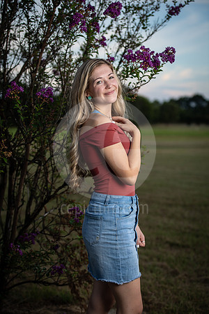 CNP_4335