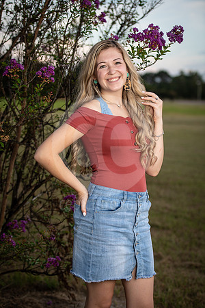 CNP_4339