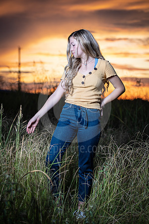 CNP_4414