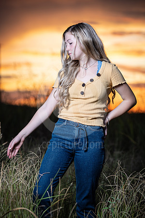 CNP_4415