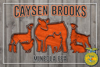 CaysenB