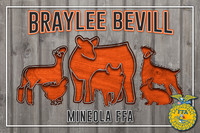 BrayleeB