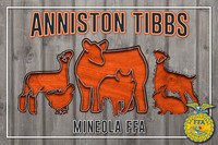 AnnistonT