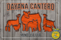 DayanaC