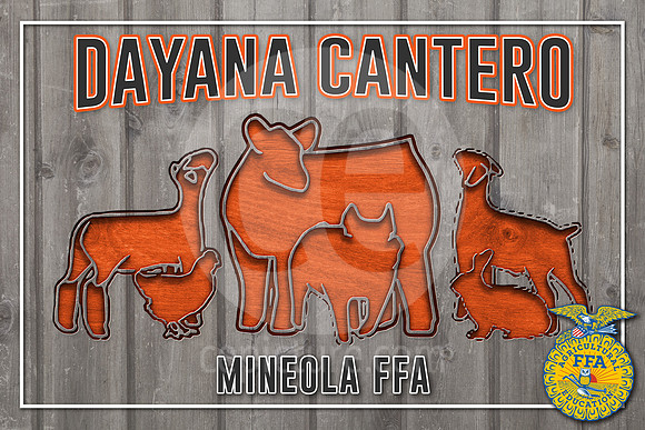 DayanaC