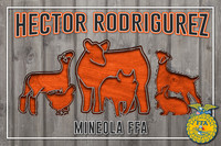 HectorR