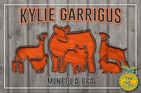 KylieG