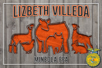 LizbethV