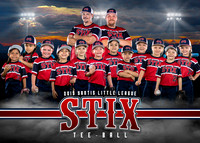 6UStix5X7team
