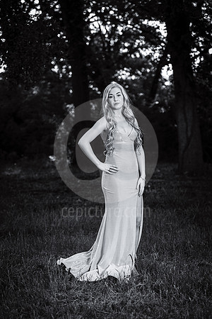 CNP_3791