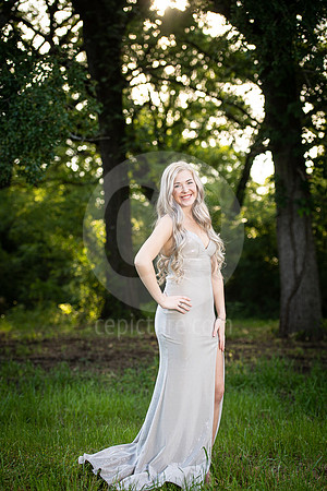 CNP_3793