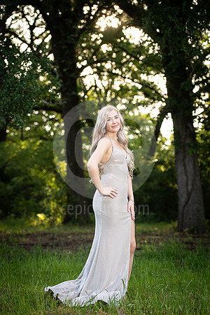 CNP_3799