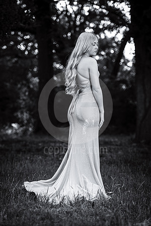 CNP_3803