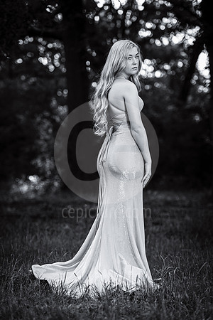 CNP_3806