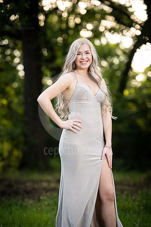 CNP_3816