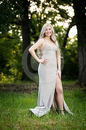 CNP_3818