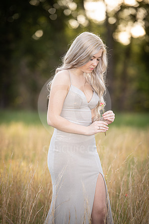 CNP_3827