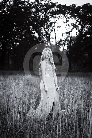CNP_3830
