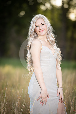 CNP_3843