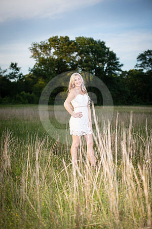 CNP_3884