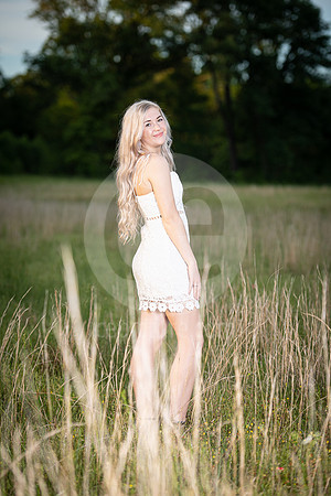 CNP_3889