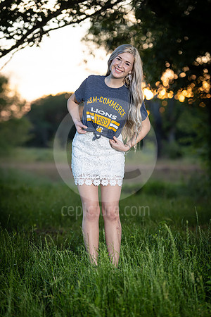 CNP_3947