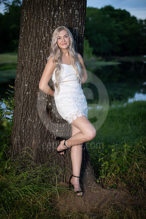 CNP_3966