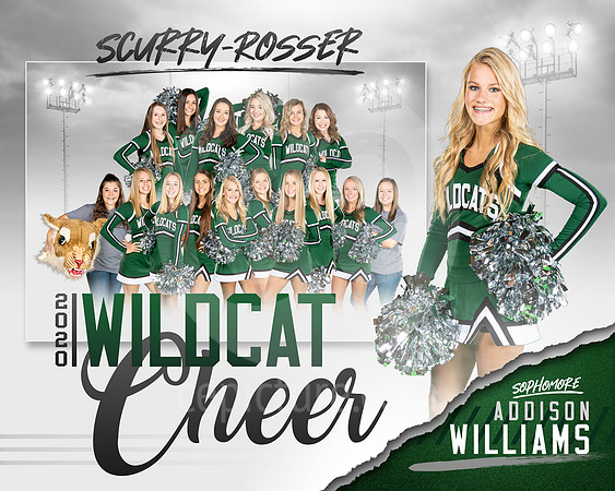 1SRCheerMemoryMateExample