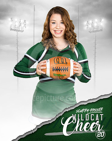 CNP_2760