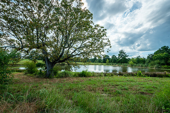 DSC_4048