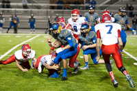 CNP_8423
