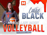VBJVO9CallieB
