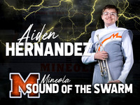 AidenHx2
