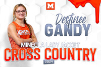 CCGDestineeGandy