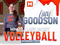 VBJVO14LucyG