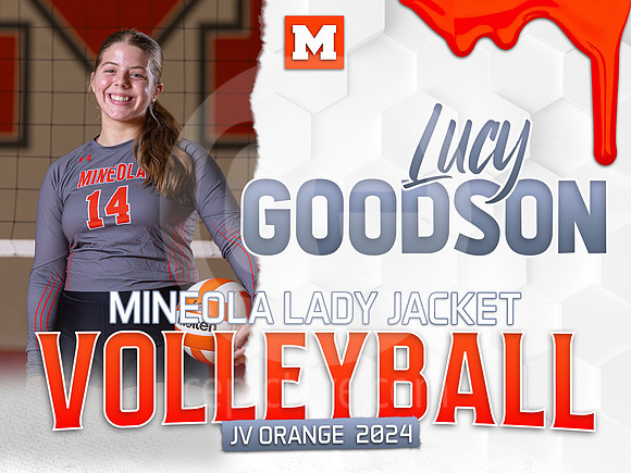 VBJVO14LucyG